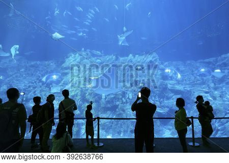 Hong Kong, China - October 30, 2020 : Tourist Watching Big Aquarium In Ocean Park, Hong Kong