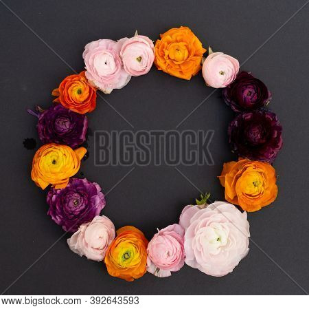 Ranunculus Flowers Wreath On Minimal Black Background