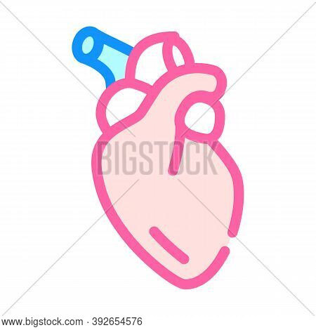 Heart Human Organ Color Icon Vector Illustration