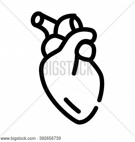 Heart Human Organ Line Icon Vector Illustration
