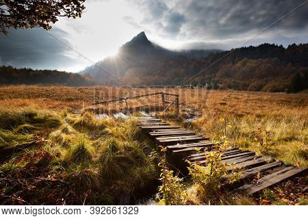 Scenic autumn view of  Roosterâs Ridge, Gutaiului Mountains, Romania.