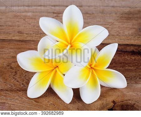 Frangipani Flower, Plumeria On A Wooden Background