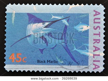 stamp printed in Australia shows Black Marlin