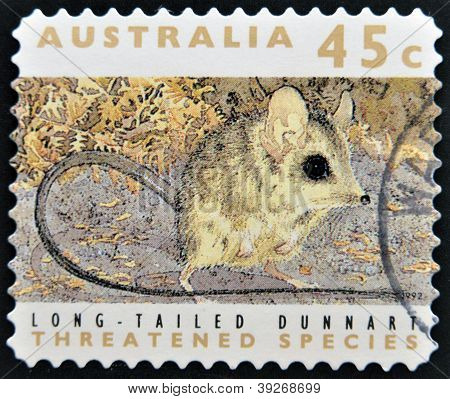 stamp printed in Australia dedicated to threatened species shows long-talied dunnart