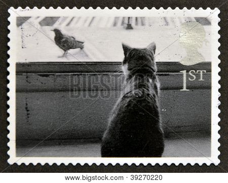 Storbritannien - CIRCA 2001: Et frimærke, trykt i Storbritannien viser kat ser fugl circa 2001