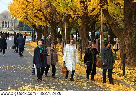 Tokyo, Japan - November 30, 2016: People Celebrate Ginkgo Avenue Autumn Foliage In Tokyo, Japan. Ich