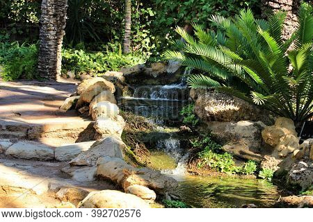 Green Vegetation In Huerto Del Cura Botanical Garden In Elche, Spain