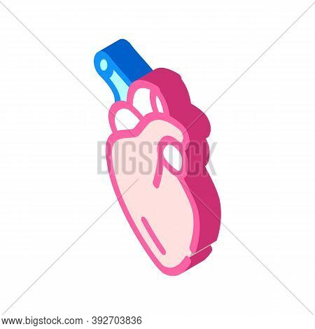 Heart Human Organ Isometric Icon Vector Illustration