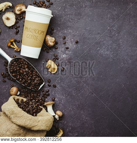 Mushroom Chaga Coffee Superfood Trend-dry and fresh mushrooms and coffee beans on dark background
