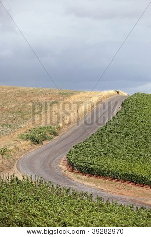 Estrada panorâmica