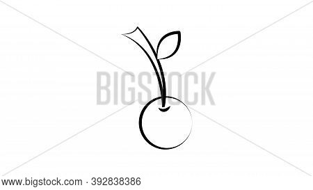 Cherry On A White Background, Red Berry, Vector Illustration. Black And White Drawing In Pencil Sket