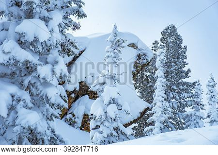 Sheregesh Ski Resort In Russia, Located In Mountain Shoriya, Siberia. Winter Landscape, Trees In Sno