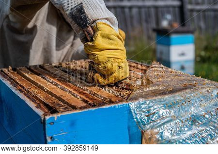 Close Up Shot Of A Beehive Being Opened With A Metallic Tool By Beekeeper.