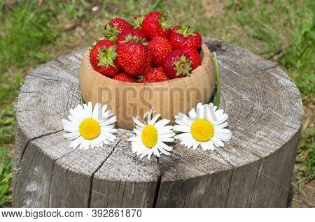 Ripe Strawberries In A Bamboo Bowl And Three Daisies On An Old Tree Stump In The Garden