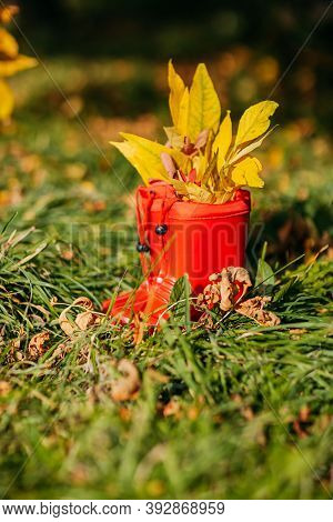 Red Kids Gumboots With Yeallow Leaves Inside. Autumn Coziness With Foliage Inside The Boots. Golden 