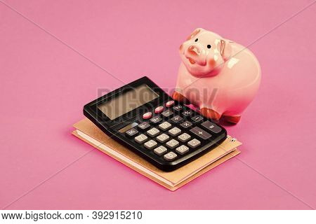 Calculate Profit. Piggy Bank Pink Pig And Calculator. Finance Manager Job Position. Economics And Fi