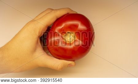 A Human Hand Holds A Bright Red Tomato.