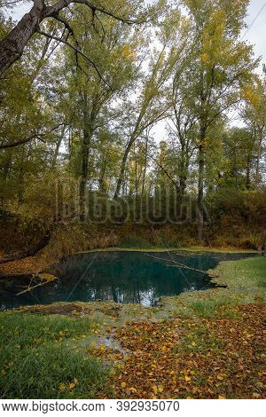 Sulphurous Water Springs In Lavino In Autumn In Abruzzo In Italy