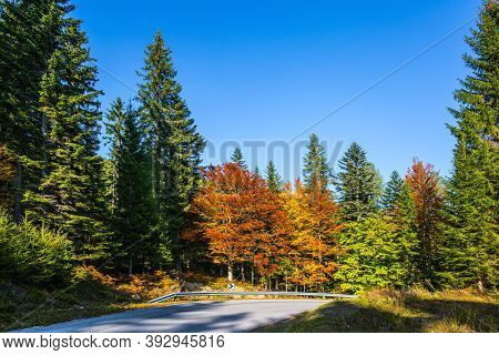 Logarska Valley, Slovenia. Magnificent golden autumn in the mountains. Eastern Europe, Kamensko - Savinsky Alps. Asphalt road among yellow, green, orange and red autumn trees.