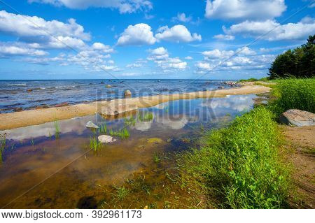 Baltic Sea Coast. The River Flows Into The Sea