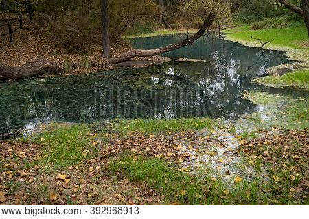 Sulphurous Water Springs In Lavino In Autumn In Abruzzo In Italy