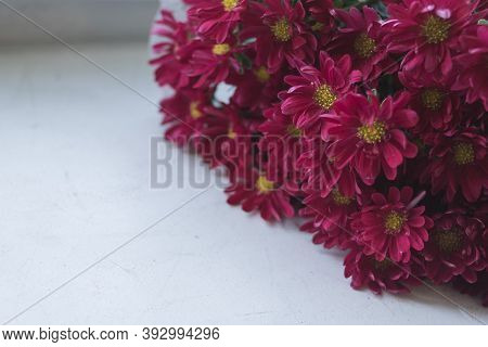 Bouquet Of Pink Chrysanthemums On A White Background