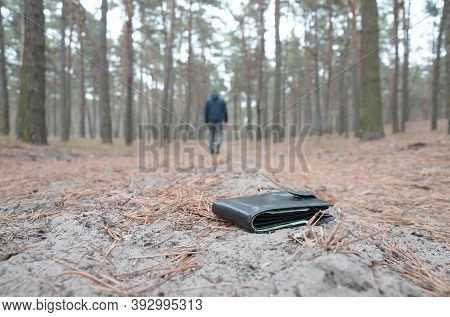 Young Man Loses His Purse With Euro Money Bills On Russian Autumn Fir Wood Path. Carelessness And Lo