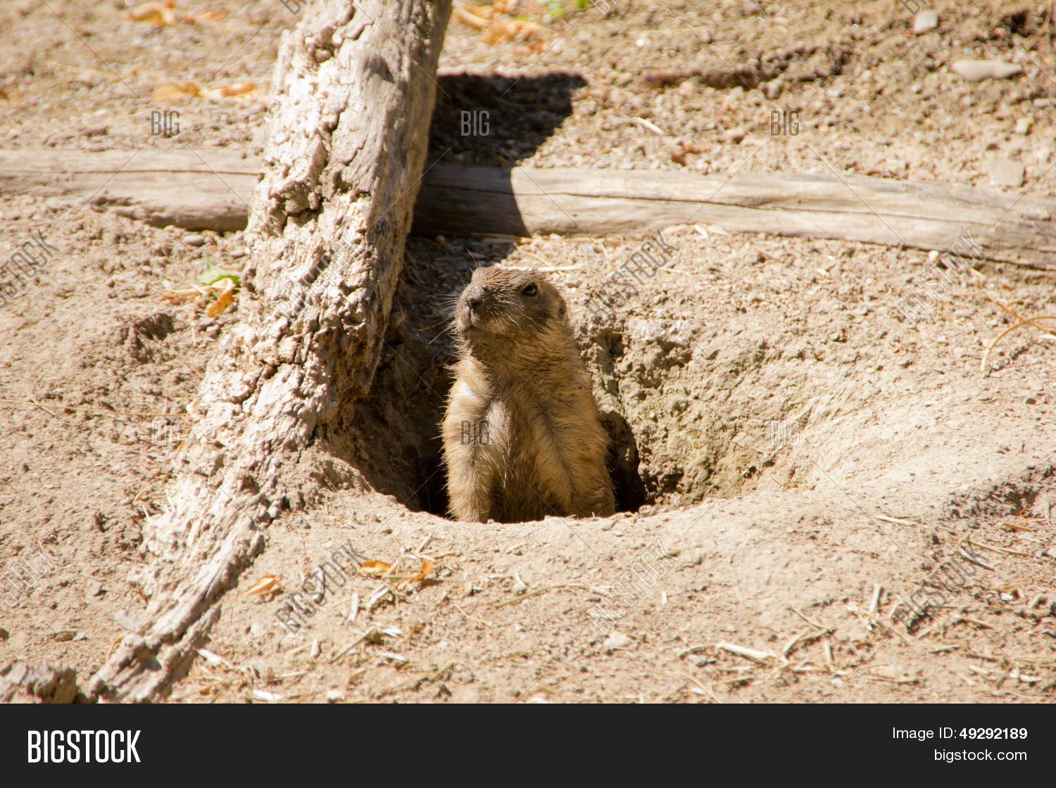 Дыра лого. Дыра в скале. Out of the hole. Юноши пещеры. Out of the hole.