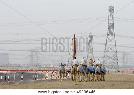 Dubai UAE kameler och jockeys utbildning på Nad Al Sheba Camel travet i solnedgången