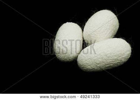 Silkworm cocoons on black background