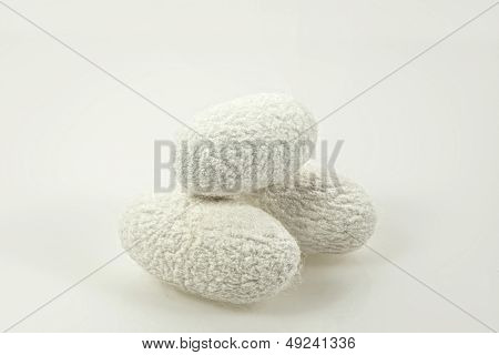 Silkworm cocoons on white background