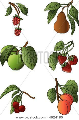 Assortimento di frutta