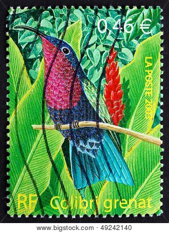 Postage Stamp France 2003 Purple-throated Carib, Bird