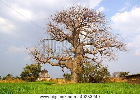 Picturesque nature landscape