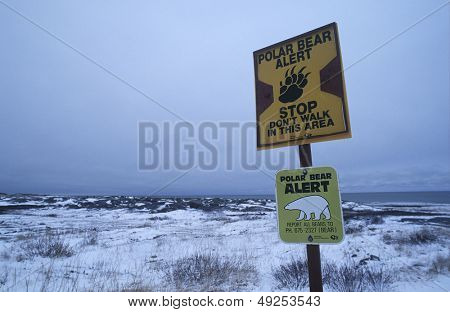 Canada Beach af Churchill isbjørn oplysninger tegn