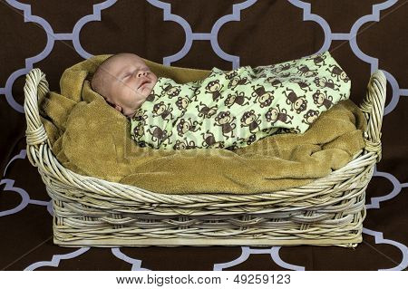 Newborn Baby Boy 2