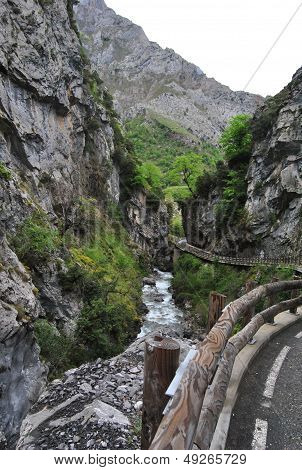 river in mountains of Cantabria