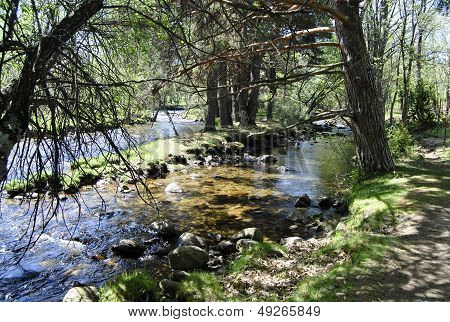 river landscape