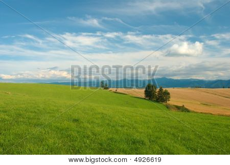 Wiese und -Feld