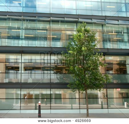 Glas Office und Baum