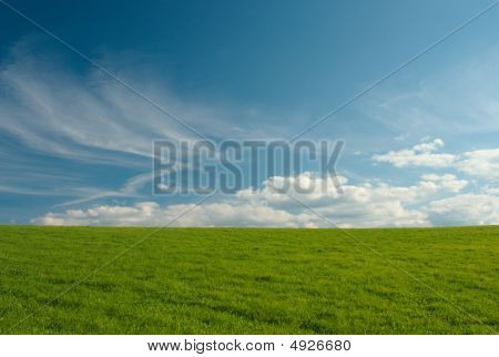 sommerwiese