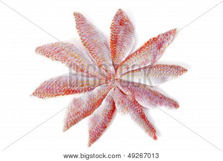 Fillets Of Goatfish