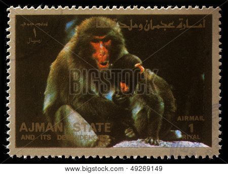 AJMAN - ca 1973: stämpel tryckt av Ajman visar apor, ca 1973