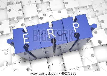 Puzzle Erp