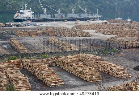 Shipping Timber