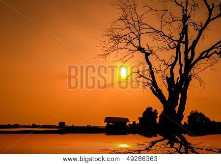 Good evening my sweet home
