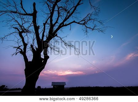 Goodnight my sweet home