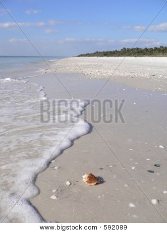 Beautiful Sandy Beach In Florida USA