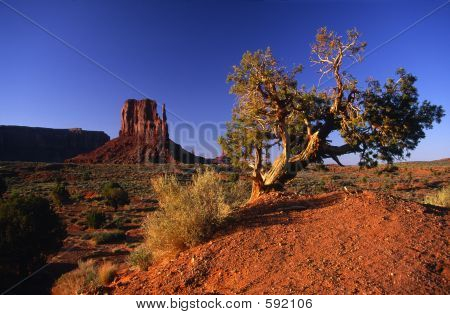 Östra Mitten Butte i Monument Valley