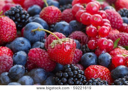 bluberry, raspberry, blackberry and red currrant